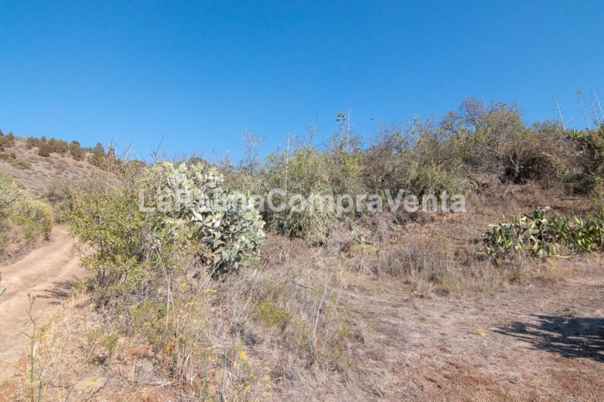 Land for sale in Puntagorda, Santa Cruz de Tenerife photo 3