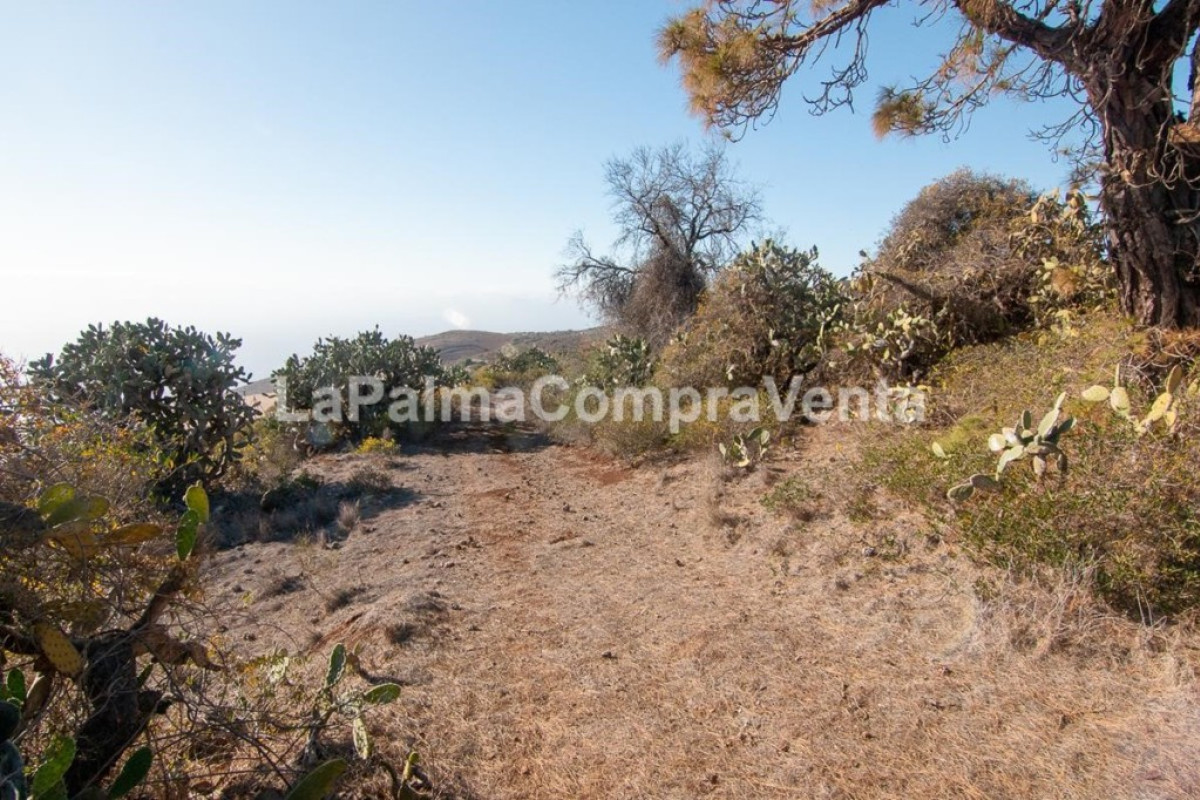 Land for sale in Puntagorda, Santa Cruz de Tenerife photo 4
