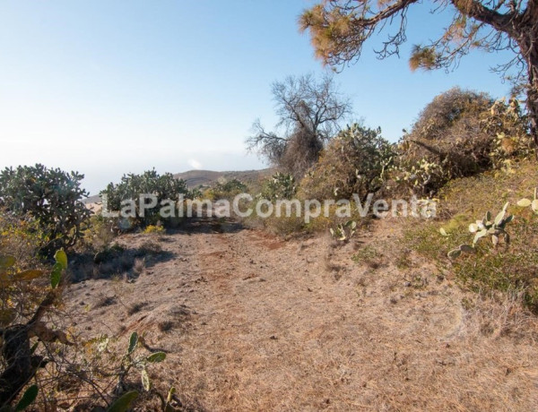Suelo rústico en Venta en Puntagorda Santa Cruz de Tenerife  photo 4