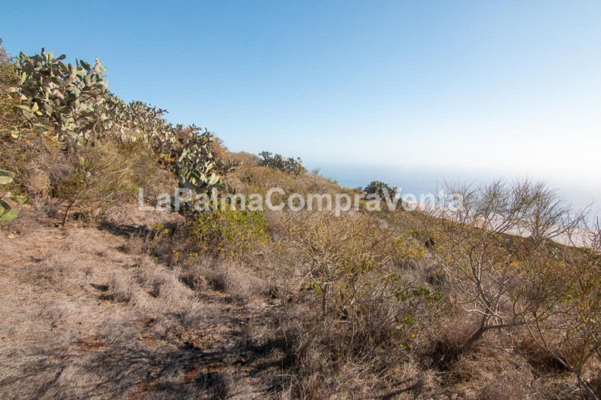 Land for sale in Puntagorda, Santa Cruz de Tenerife photo 5