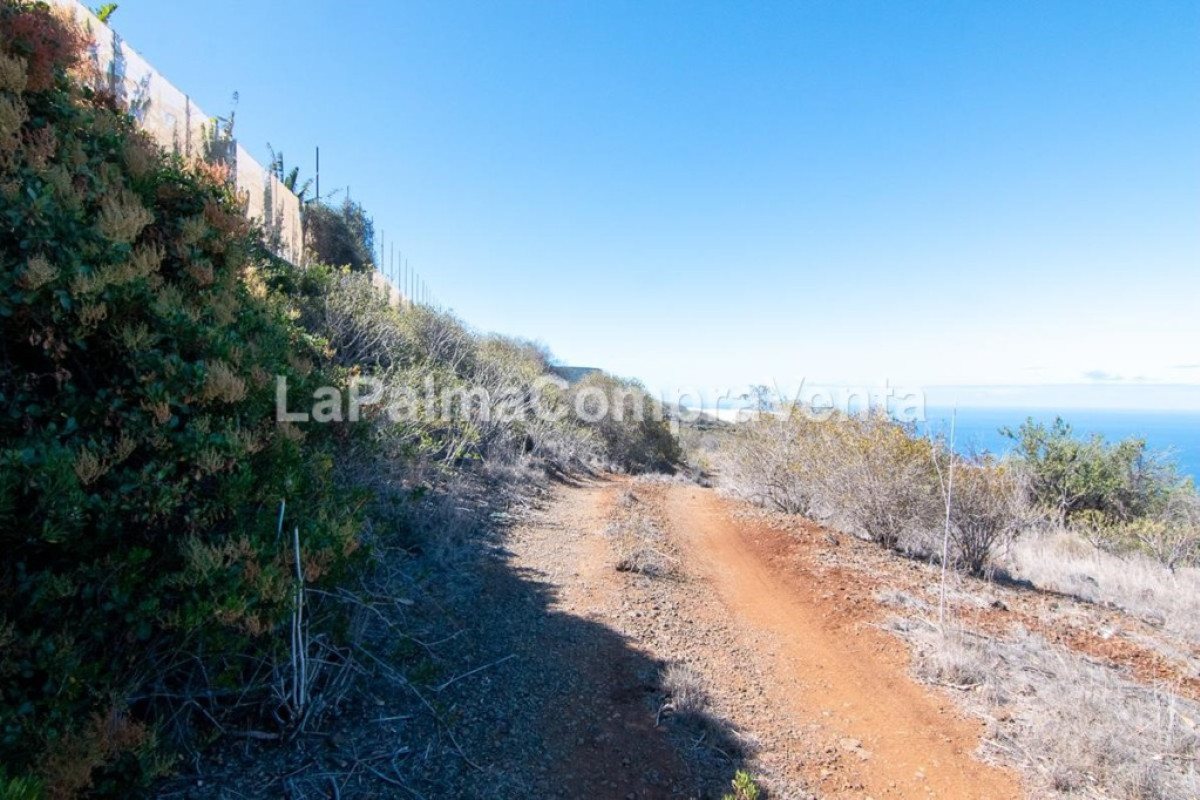 Terreno en venta en Tijarafe, Santa Cruz de Tenerife photo 4