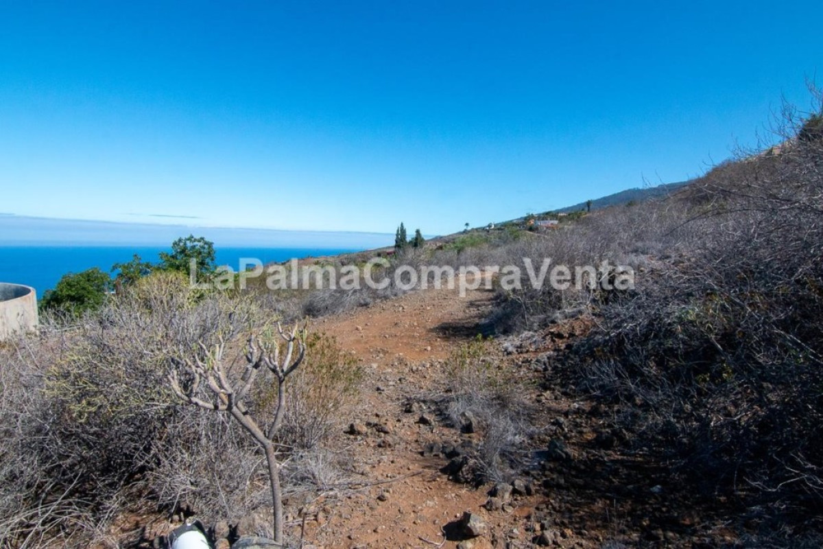 Terreno en venta en Tijarafe, Santa Cruz de Tenerife photo 5