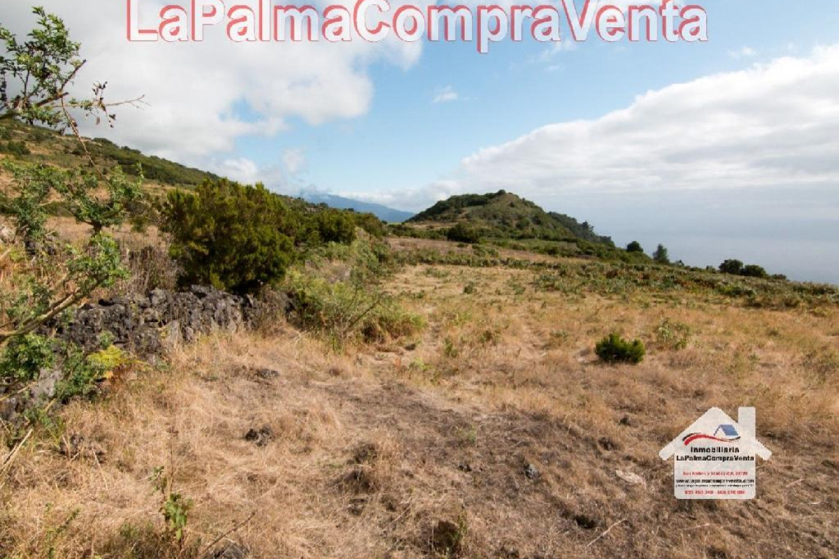 Land for sale in Villa de Mazo, Santa Cruz de Tenerife photo 1
