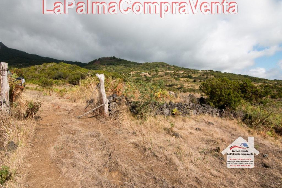 Land for sale in Villa de Mazo, Santa Cruz de Tenerife photo 3