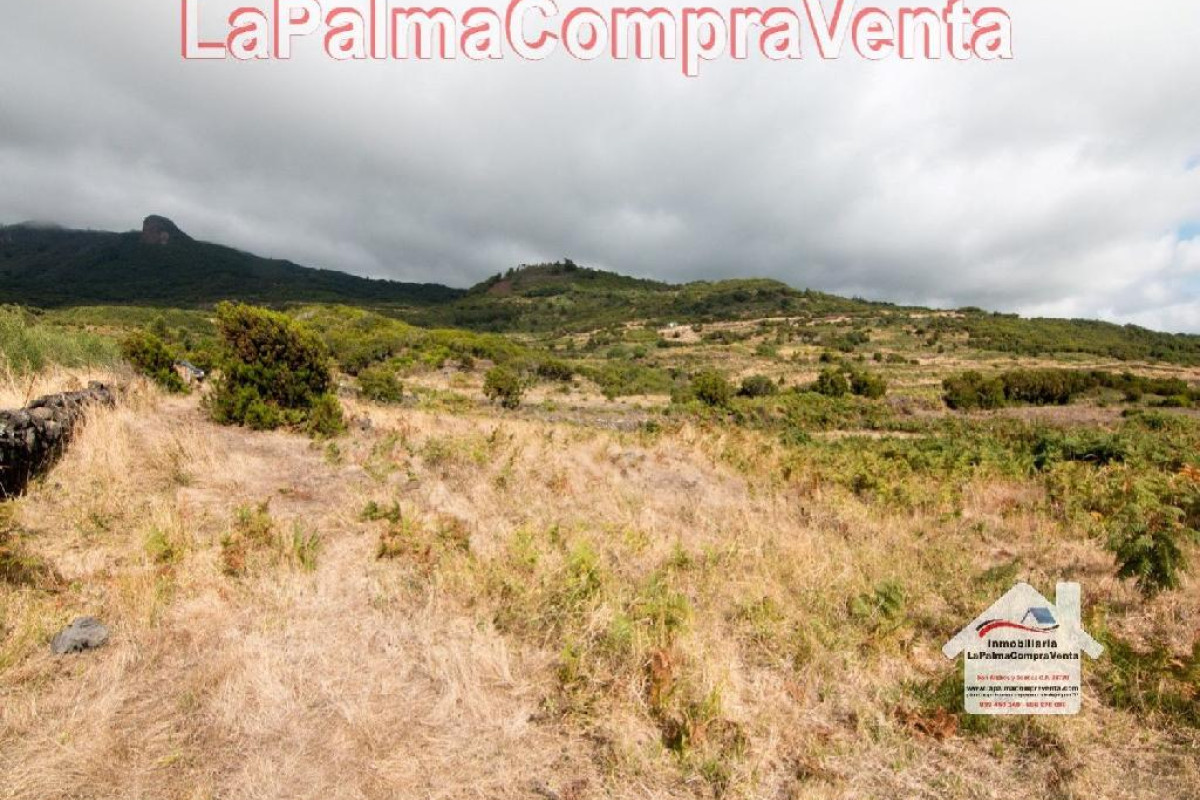 Land for sale in Villa de Mazo, Santa Cruz de Tenerife photo 4
