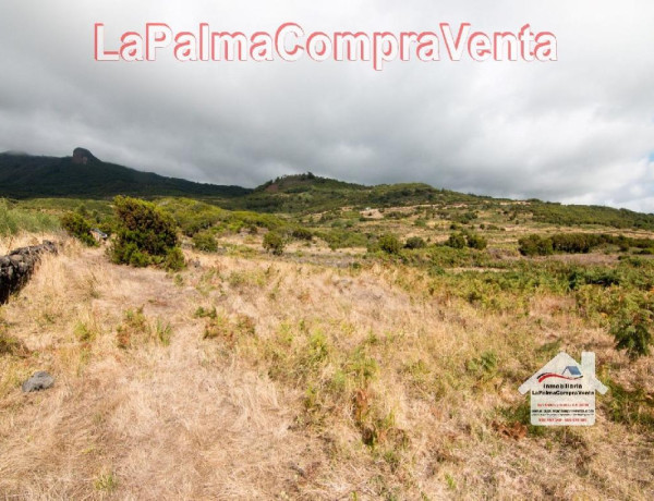Solar residencial en Venta en Villa De Mazo Santa Cruz de Tenerife photo 4
