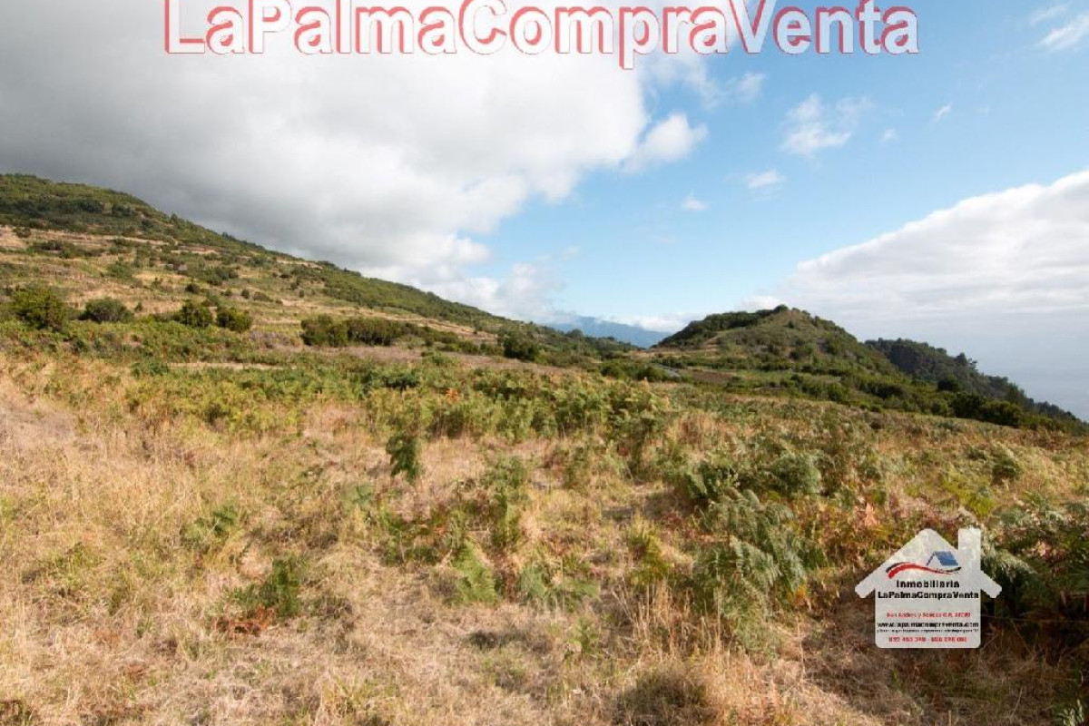 Land for sale in Villa de Mazo, Santa Cruz de Tenerife photo 5