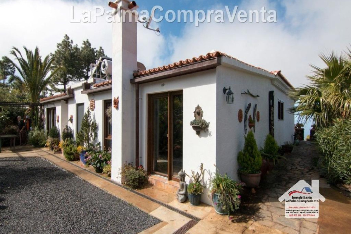 Casa-Chalet en Venta en Paso, El Santa Cruz de Tenerife, The Pass, The
 photo 3