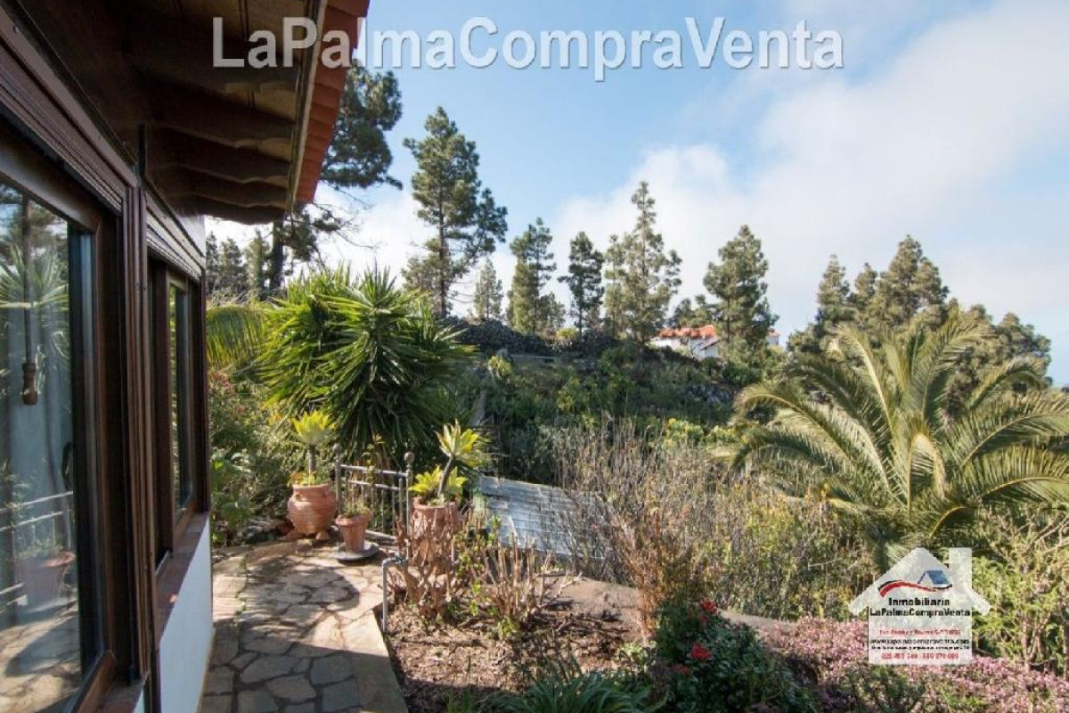 Casa-Chalet en Venta en Paso, El Santa Cruz de Tenerife, The Pass, The
 photo 4
