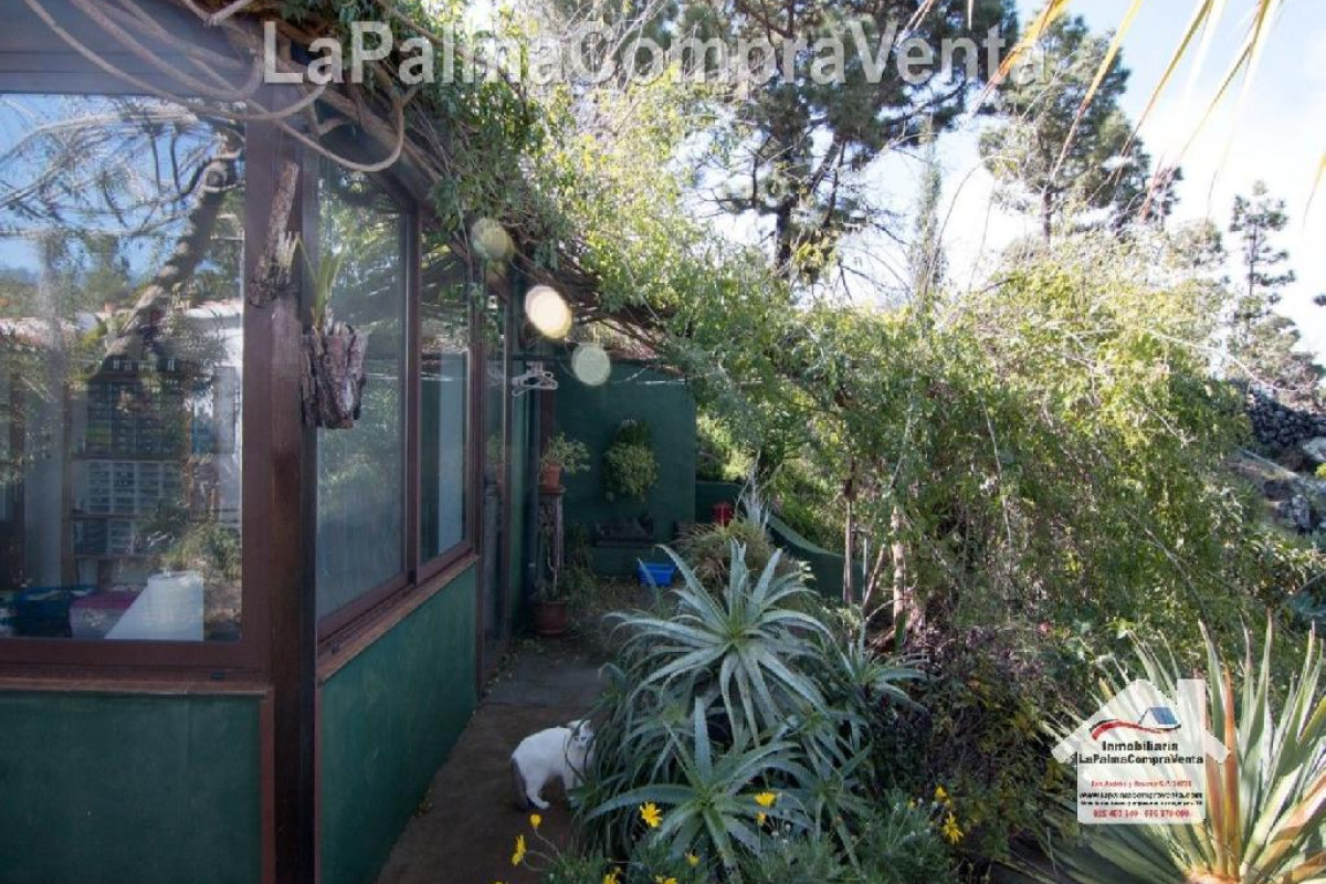 Casa-Chalet en Venta en Paso, El Santa Cruz de Tenerife, The Pass, The
 photo 5