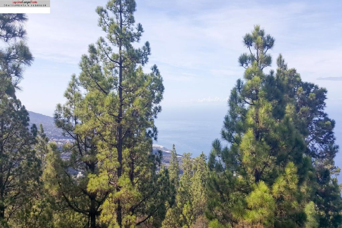 Land for sale in Tijarafe, Santa Cruz de Tenerife photo 2