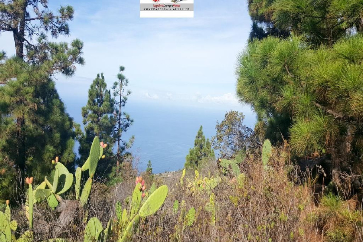 Land for sale in Tijarafe, Santa Cruz de Tenerife photo 4