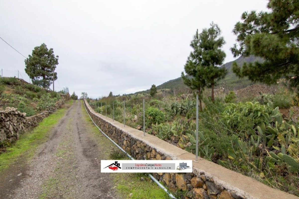 Terreno en venta en Paso, El, Santa Cruz de Tenerife photo 3