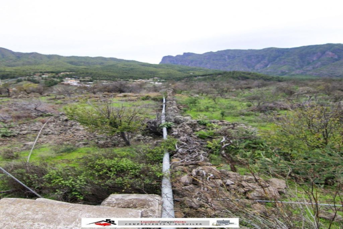 Terreno en venta en Paso, El, Santa Cruz de Tenerife photo 5
