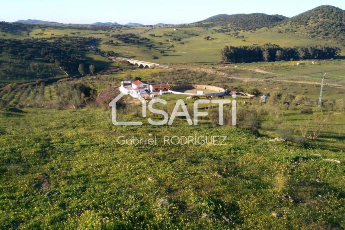 Terreno en venta en Higuera De Vargas, Badajoz photo 5
