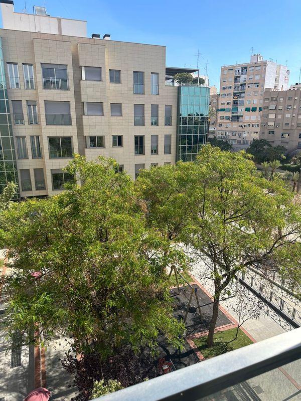 New construction Edificio Santa Ana 17 in Elche / Elx photo 3