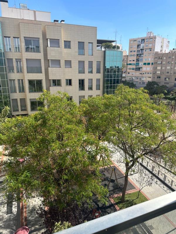 New construction Edificio Santa Ana 17 in Elche / Elx photo 4