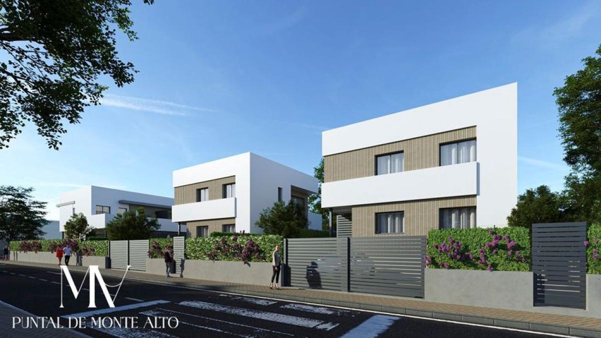 Obra nueva Puntal de Monte Alto en Mairena del Aljarafe (Revista) photo 2
