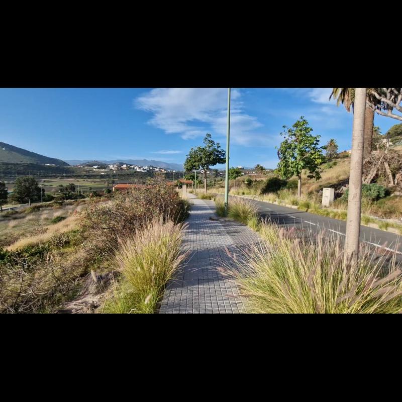 Новостройка vivienda unifamiliar San Francisco de Paula в Лас-Пальмас-де-Гран-Канария photo 5