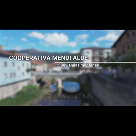 Promoción Mendi Alde obra nueva en Orozko photo 4