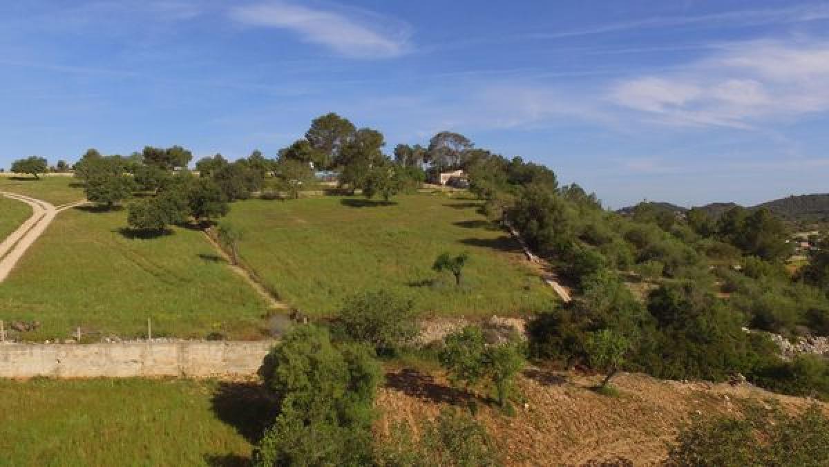 Obra nueva Casa Son Macia en Manacor (Revista) photo 4