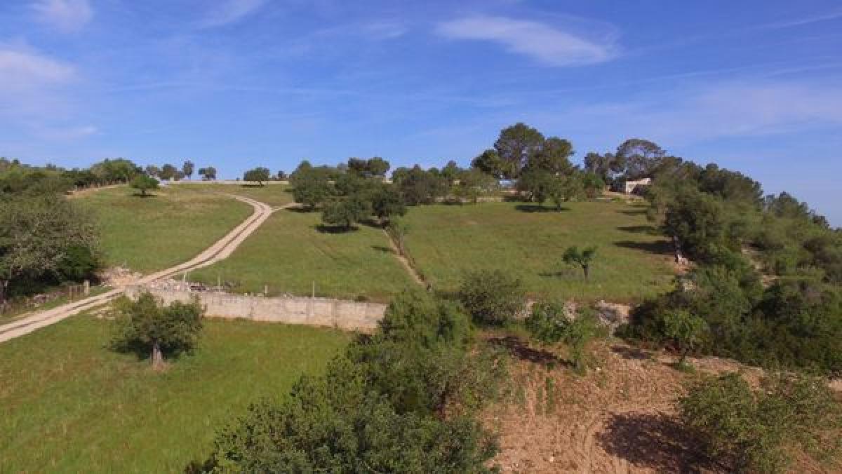 Obra nueva Casa Son Macia en Manacor (Revista) photo 5