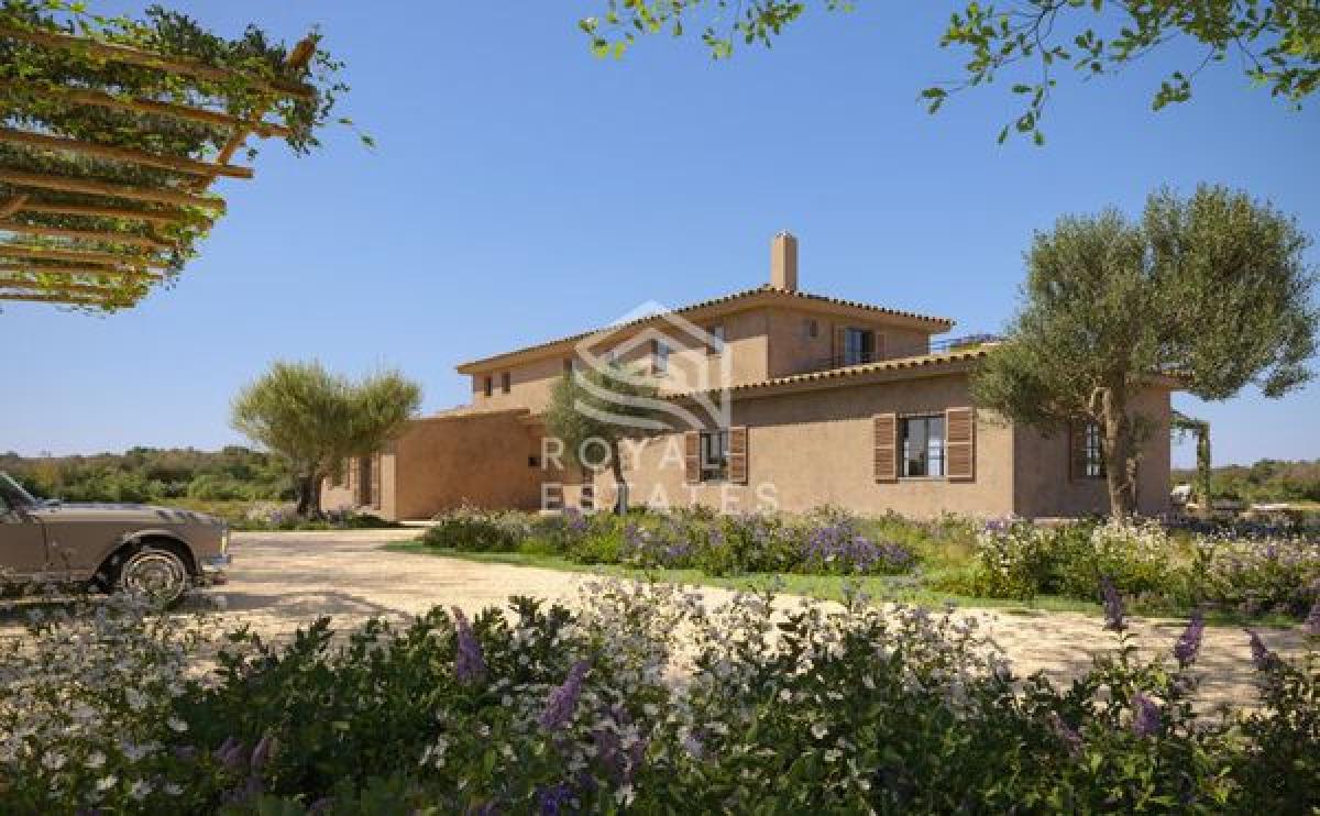 Obra nueva Finca Santa Maria en Santa Maria del Cami (Revista) photo 5