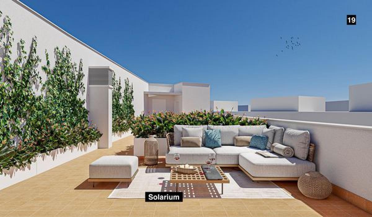 Obra nueva Luz De Cádiz en Cádiz (Revista) photo 4