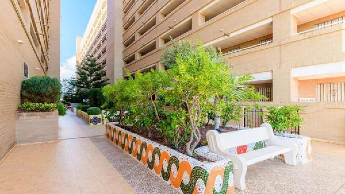 Obra nueva Jardines Del Mar III en Oropesa del Mar (Revista) photo 4