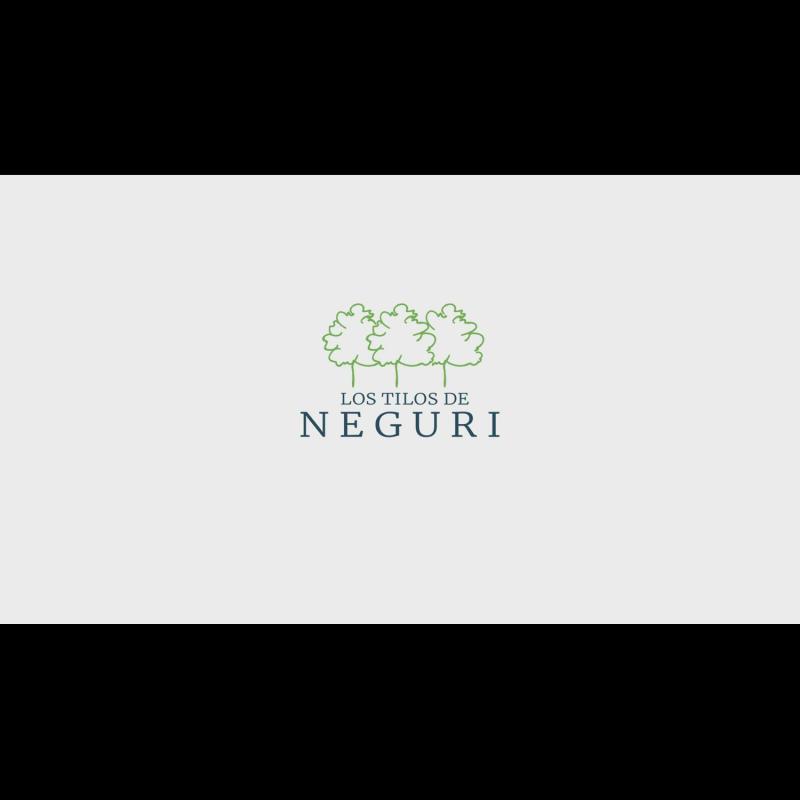 New construction Los Tilos de Neguri in Getxo photo 3