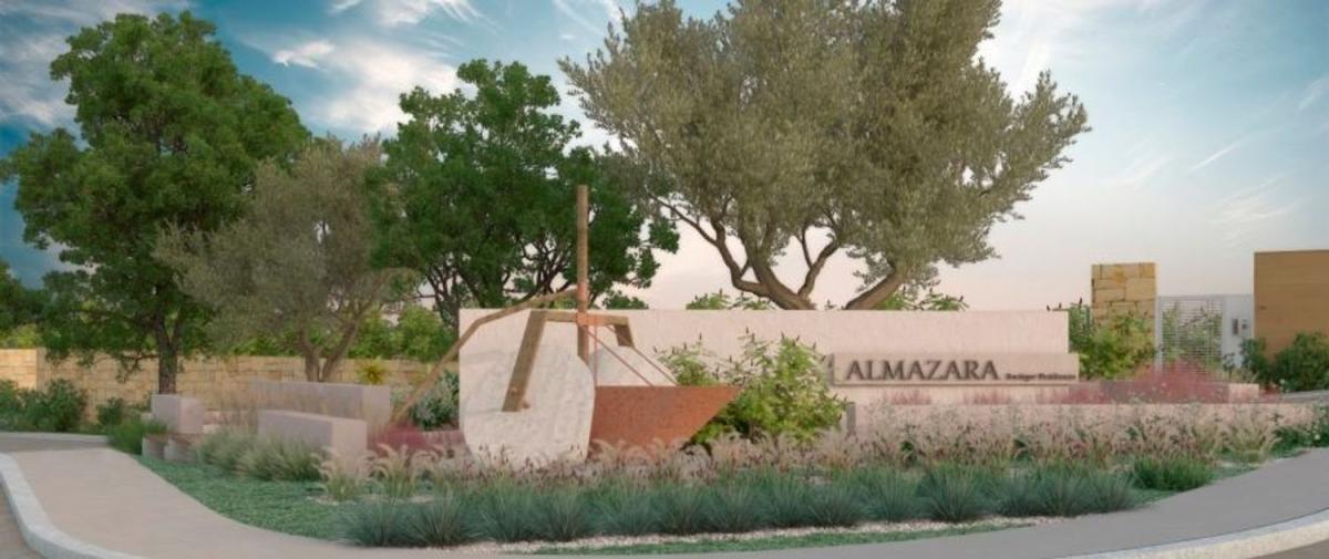Almazara Forest, Истан
photo 2