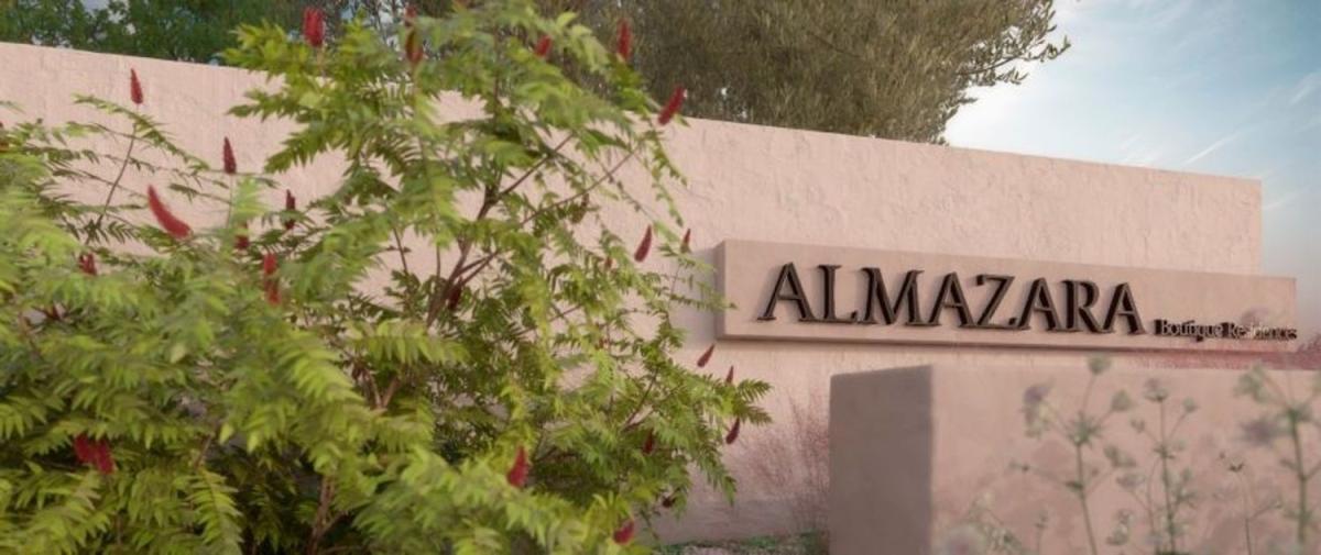 Almazara Forest, Истан
photo 5