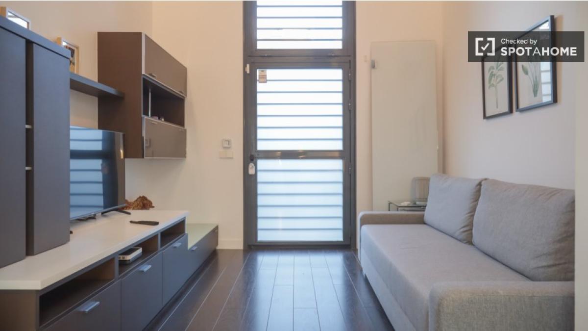 Studio rental in , Madrid photo 2