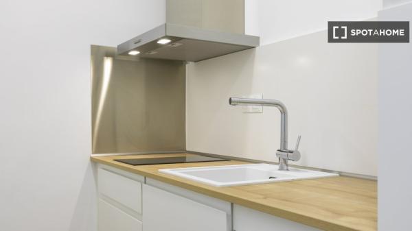 Studio for rent at , Madrid photo 2