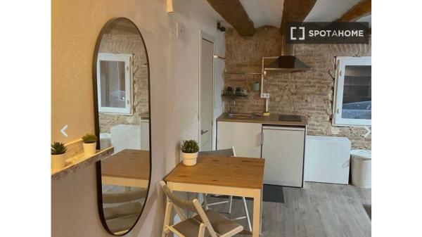 Estudio en alquiler en , Barcelona photo 4