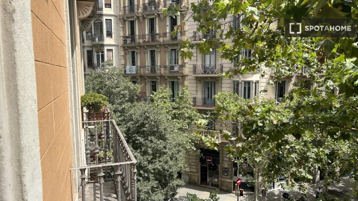 Studio rental in , Barcelona photo 5