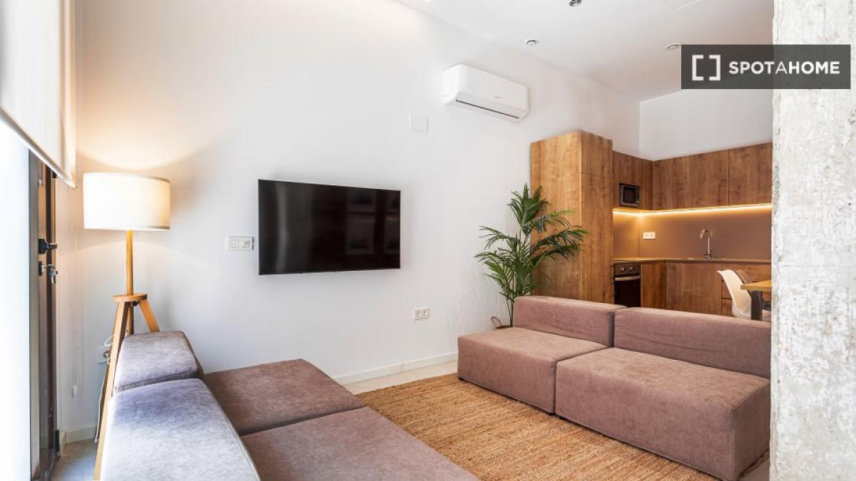 Studio rental in , Valencia photo 4