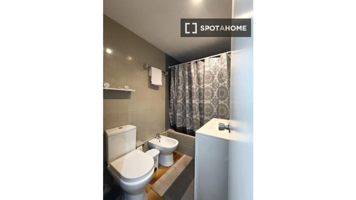 Studio rental in , Santa Cruz de Tenerife photo 2