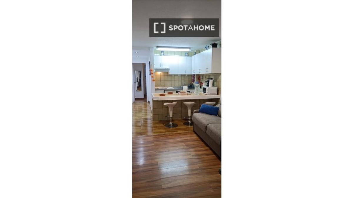 Studio rental in , Santa Cruz de Tenerife photo 4