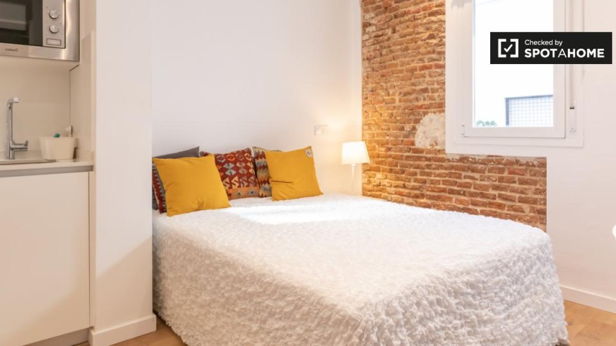 Studio rental in , Madrid photo 3