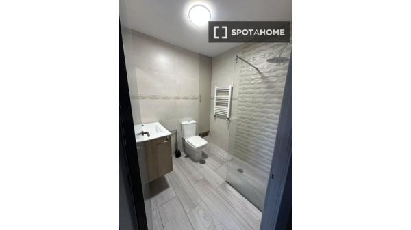 Studio for rent at , Madrid photo 2