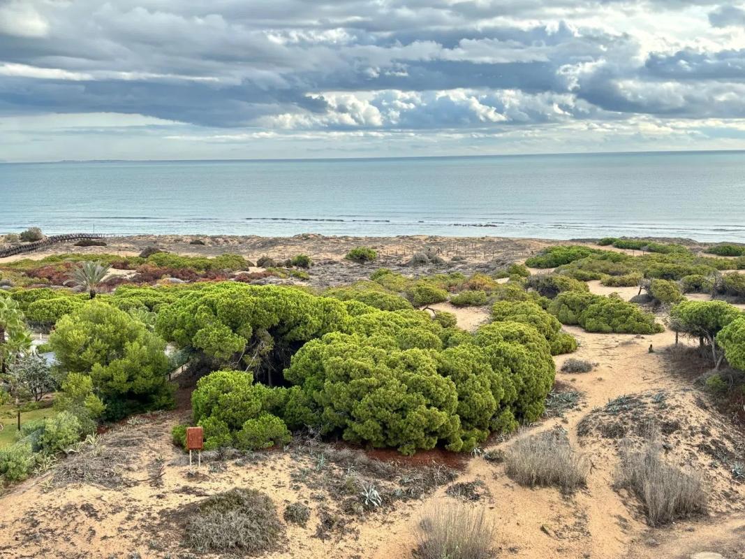 Sale of apartment in Barrio Centro - Muelle Pesquero, Torrevieja
photo 1