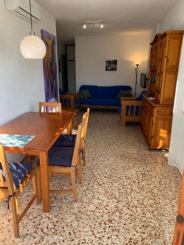 Sale of independent chalet in Calle Minerva, Torrevieja
photo 2