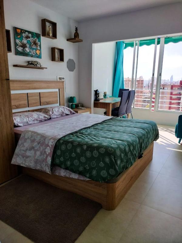 Sale of studio in Avenida de Portugal, 1, Benidorm photo 4