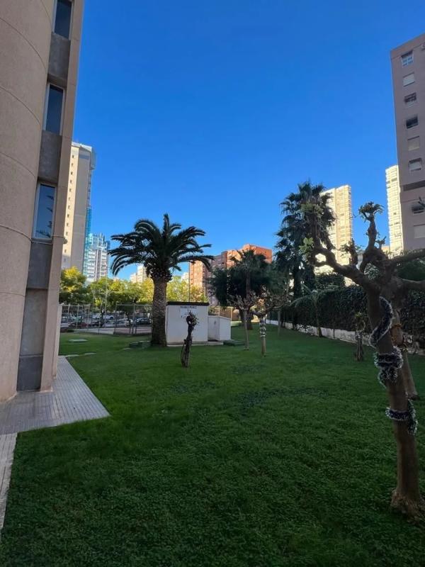 Penthouse sale in Calle Juan Llorca, Benidorm photo 5
