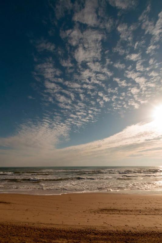 Sale of independent chalet in Guardamar Playa, Guardamar del Segura
 photo 4