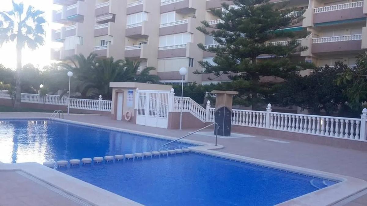 Venta de chalet independiente en Calle las Mimosas, 65 bajo, Guardamar del Segura
 photo 2
