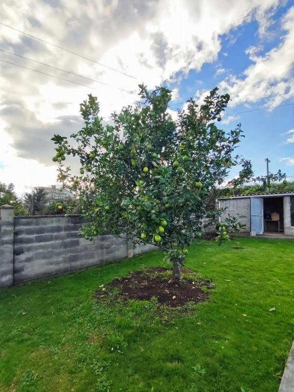 Casa independiente en Aldea Taibo, Sada
photo 4