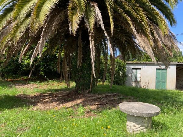 Detached villa for sale in , Cabanas photo 4