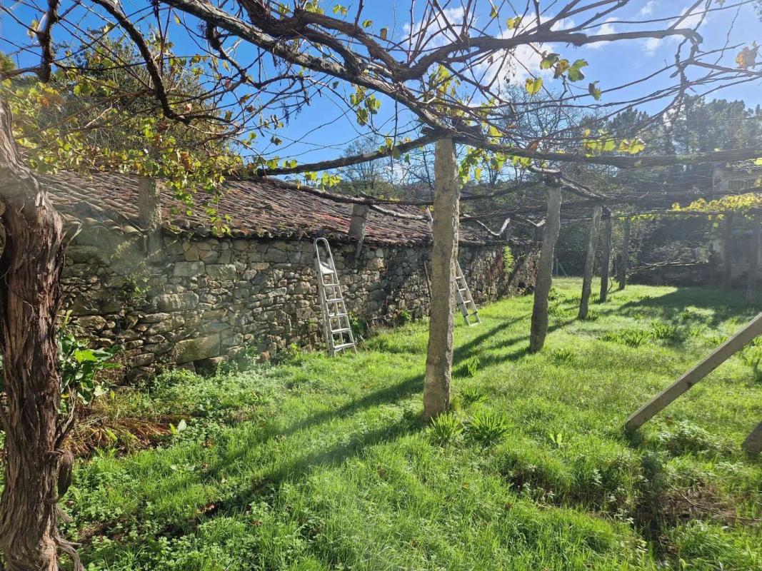 Chalet pareado, Teo
photo 4